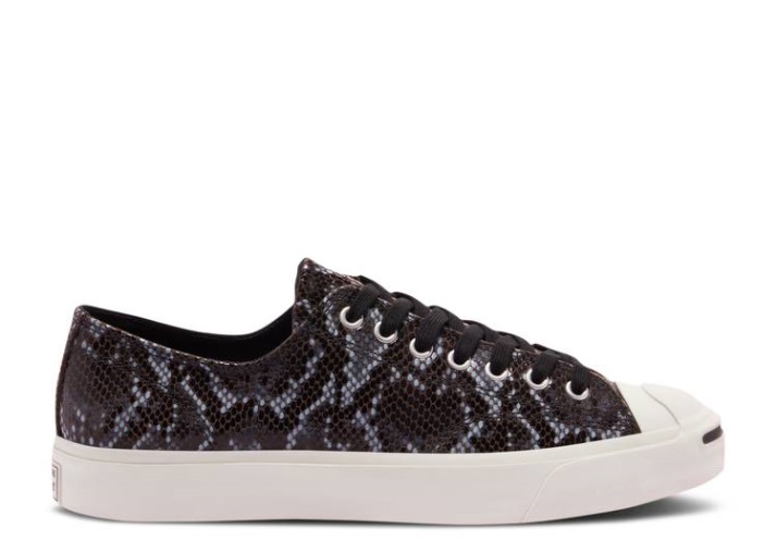 Converse Jack Purcell Low - Archivo Reptil