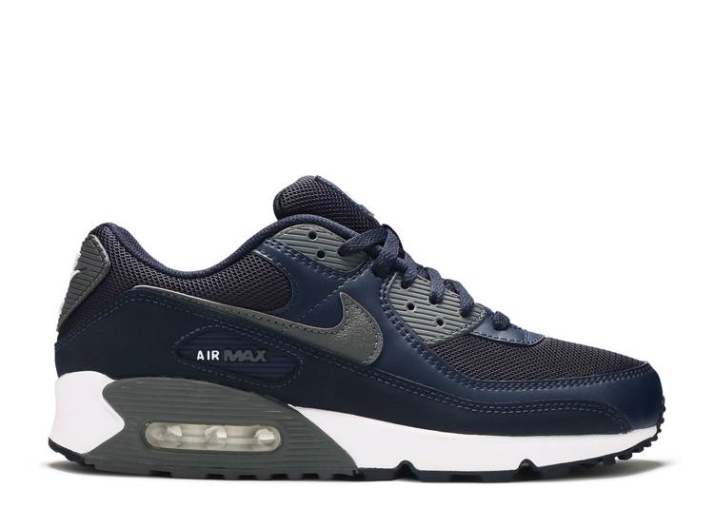 Nike Air Max 90 - Obsidiana Gris Hierro