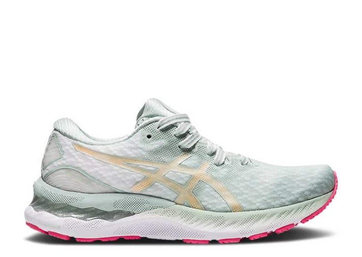 Asics Gel Nimbus 23 Mujer - Lichen Rock Champagne