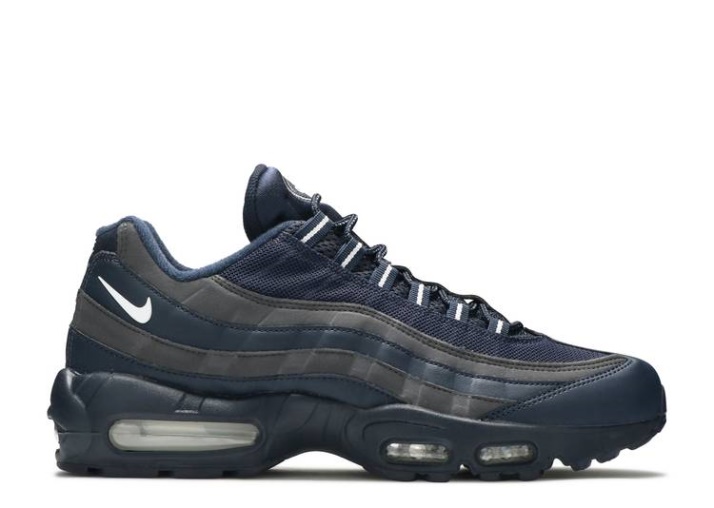 Nike Air Max 95 Obsidiana/gris Hierro/blanco