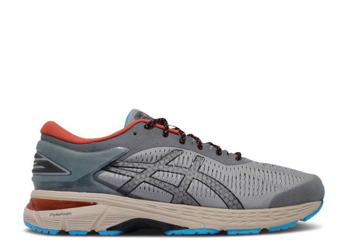 Asics Gel Kayano 25 - Gris Piedra