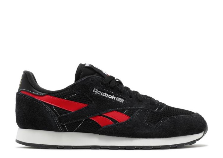 Reebok Classic Leather - Derechos Humanos Ahora!