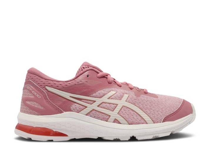 Asics Gt 1000 10 Gs - Rosas Ahumadas