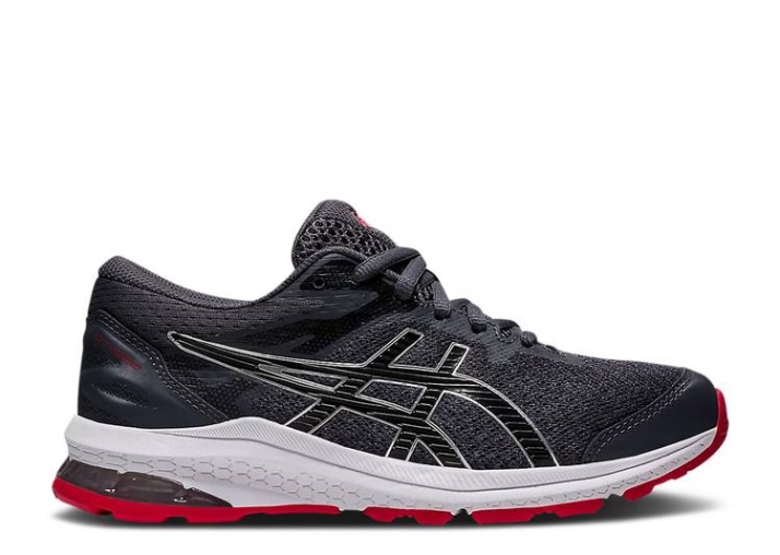 Asics Gt 1000 10 Gs - Gris Portador Plata Pura