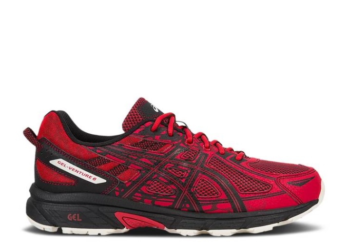Asics Gel Venture 6 - Lichi