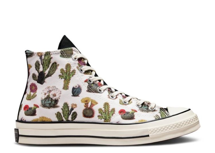 Converse Chuck 70 High - Suculentas