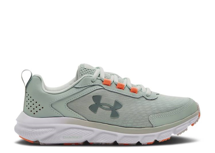 Underarmour Wmns Charged Assert 9 - Mármol