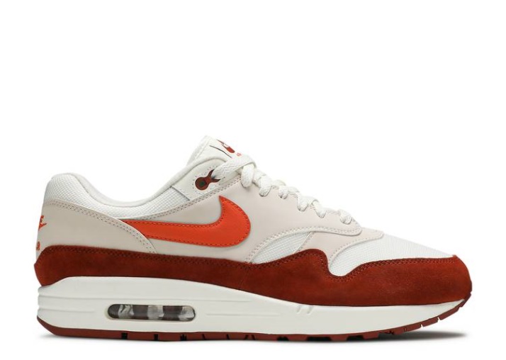 Nike Air Max 1 - Piedra De Marte